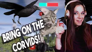 Lauren Reacts! *Bring on the Corvids!* Are Crows OP? By TierZoo