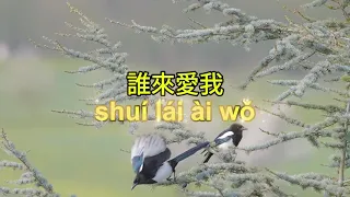 誰來愛我(shuí lái ài wǒ)