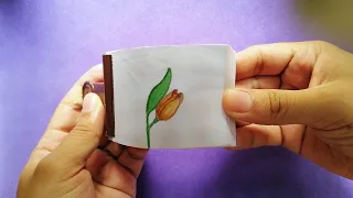 Watch this flower blooming and closing | FLIPBOOK | ANIMATION