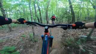 Black Mountain Trail - Pisgah National Forest Brevard, NC - Upper and Middle Sections