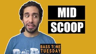 All About Those Mids | Bass Tone Tuesday