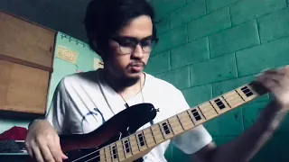 Michael Jackson - They Don’t Really Care About Us ( Bass Cover) #JunkTerrorBill