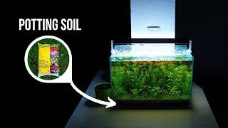 INSANE PLANT GROWTH with NO CO2 NO FILTER | Step by step WALSTAD METHOD aquarium | EP1