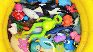 Fun Sea animal Toys in water| Sea creatures names and Fun facts for toddlers