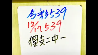 【今彩539】12月17日(六)獨支二中一