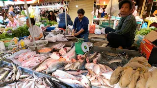 Mixed Khmer Traditional Food Market Scenes - Fish, Meat, Pork, Vegetables, people activities & More