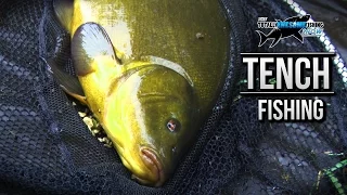 Tench Fishing with High-Stack Rods | TAFishing