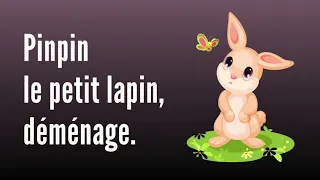 Pinpin le petit lapin, déménage avec sa famille.