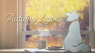 「FULL MEP」Autumn Leaves 🍁