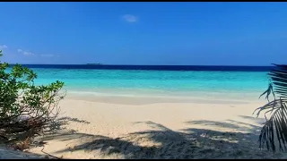 4 серия. Мальдивы. Отель-резорт Fihalhohi (Фихалохи). Пляж, рыбки, акула!