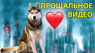 ПРОЩАЛЬНОЕ ВИДЕО С ХАСКИ... (Хаски Бандит) Говорящая собака