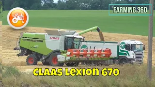 Harvest 2021 | Claas Lexion 670 combine & V770 header