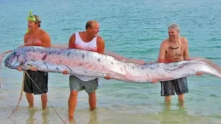 Fishermen Drag Out THIS Creepy Creature From Ocean