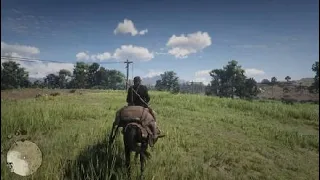 Охота на утку RDR2