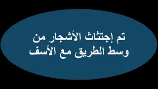 صورة تعود لسنة 1988 لشارع الزرقطوني.. بمدينة وجدة المغربية