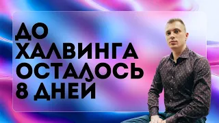 До халвинга осталось 8 дней