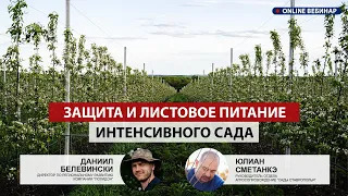 Основные принципы Защиты и Листового Питания интенсивного сада