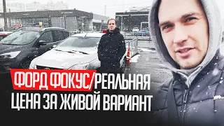 ФОРД ФОКУС/РЕАЛЬНАЯ ЦЕНА ЗА ЖИВОЙ ВАРИАНТ