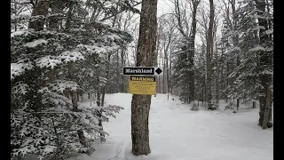 Burke Mountain, VT - Carriage Road to Marshland Glades