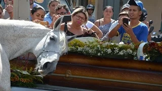 Cavalo se despede do dono no enterro