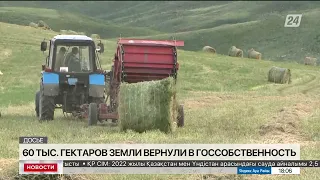 60 тыс. га земель вернули в госсобственность в Абайской области