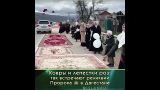 Как встречают реликвий Пророка ﷺ Дагестане?