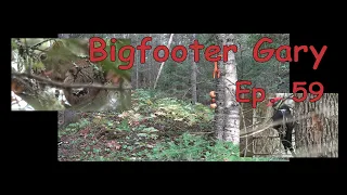 Bigfooter Gary Ep. 59 - Creepy Dog Toy Surprise