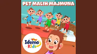 Pet Malih Majmuna