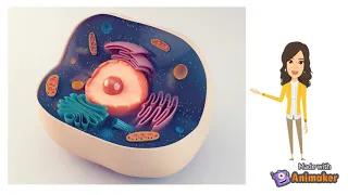 The Unfolded Protein Response