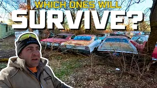 How Many Old Cars can we RESCUE Before it's too Late?