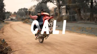 CALI - 44 KID