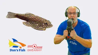 Livestream Ep.297 Reticulated Hillstream Loach GIVEAWAY