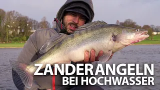 ZANDERANGELN bei Hochwasser - Am deutschen Fluss auf Winterzander