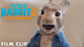 PETER RABBIT 2: THE RUNAWAY Clip – My Voice Isn’t Annoying