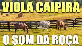 VIOLA CAIPIRA - SERTANEJO RAIZ O MELHOR - O SOM DA ROCA - MODA DE VIOLA 🎶