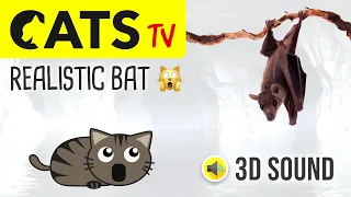 CATS TV - Realistic Flying Bat 🦇 3 HOURS (Game for cats to watch)