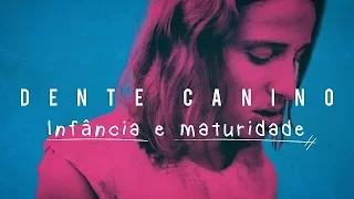 Dente Canino (Videoessay) – Infância e Maturidade