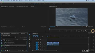 01. Transcoding media and creating proxies || Adobe premiere pro || Video editing tutorial