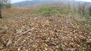 Село Ахштырь. Грандиозная вырубка леса. 14 ноября 2019 года.(ч.3)