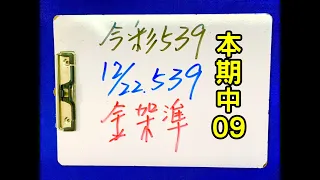 ★本期中09★【今彩539 】12月22日(四)獨支金架準  #539 號碼