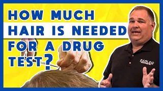 How much hair is needed for a drug test?