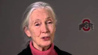 Jane Goodall: "My dream was to go to Africa"