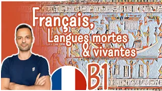 Français, langues mortes et langues vivantes | Podcast - Level B1 Ep.05