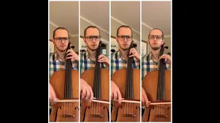 Legend of Zelda Theme Music Cello Cover
