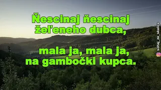 Ňescinaj, ňescinaj / Odam še neodam - text (lyrics), (Slovak Folk Song)