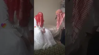 بيقولو اقطع راس القط من اول ليله قطعت اولاده للمسكين طلع مابيتحمل مزح 🤣🤣🤣🤣🤣🤣🤣