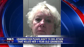 Grandmother pleads guilty to deadly dog attack