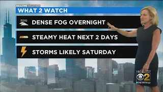 Chicago Weather: Dense Fog Overnight