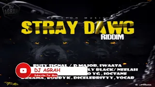 Dj Agrah - Stray Dawg Riddim Mix (Busy Signal X D Major, Charly Black, I-Octane, Bugle, & More)