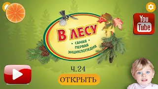 В лесу. Твоя ПЕРВАЯ энциклопедия! Часть  24